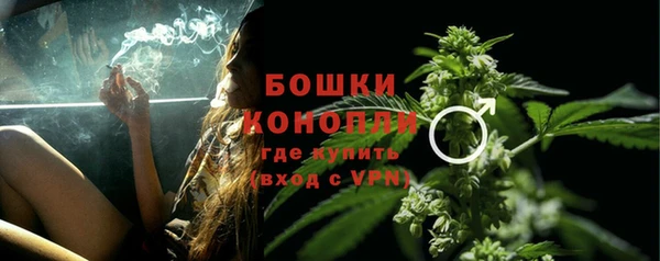 дурь Кинешма
