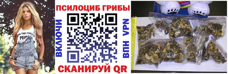 Галлюциногенные грибы MAGIC MUSHROOMS  Купить закладки  Искитим 
